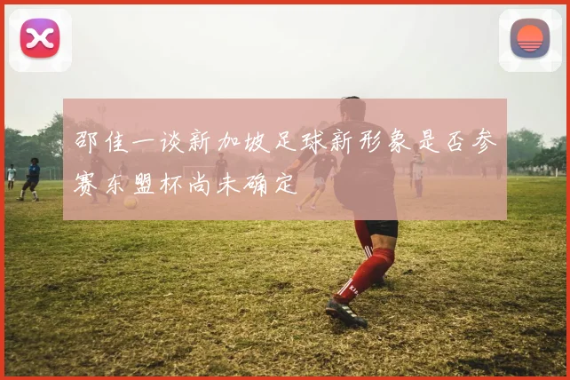 邵佳一谈新加坡足球新形象是否参赛东盟杯尚未确定